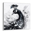 Quadro Stampa su Tela Pavone reale - CupidoDesign