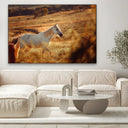 Quadro Stampa su Tela Pianura Equestre - CupidoDesign
