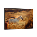 Quadro Stampa su Tela Pianura Equestre - CupidoDesign