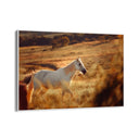 Quadro Stampa su Tela Pianura Equestre - CupidoDesign