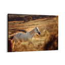 Quadro Stampa su Tela Pianura Equestre - CupidoDesign