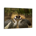 Quadro Stampa su Tela Piume D'Oro - CupidoDesign