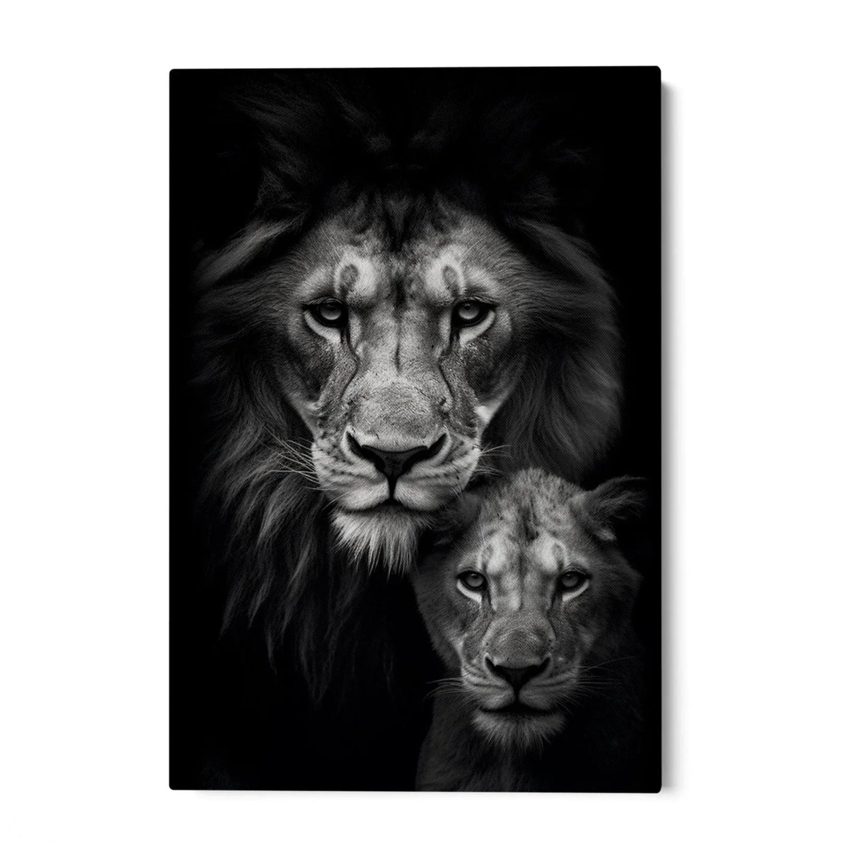 Quadro Stampa su Tela Re e principe - CupidoDesign
