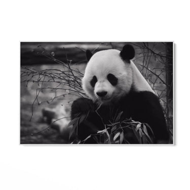 Quadro Stampa su Tela Riflessi Monocromatici - CupidoDesign
