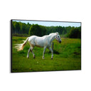 Quadro Stampa su Tela Risonanze Equestri - CupidoDesign