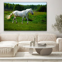 Quadro Stampa su Tela Risonanze Equestri - CupidoDesign