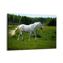 Quadro Stampa su Tela Risonanze Equestri - CupidoDesign