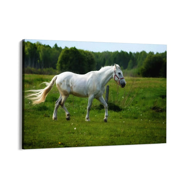 Quadro Stampa su Tela Risonanze Equestri - CupidoDesign