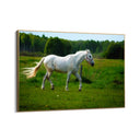 Quadro Stampa su Tela Risonanze Equestri - CupidoDesign