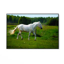 Quadro Stampa su Tela Risonanze Equestri - CupidoDesign