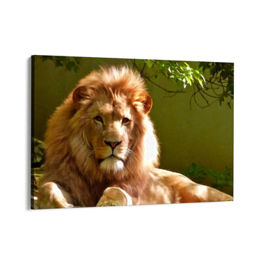Quadro Stampa su Tela Risveglio Ombroso - CupidoDesign