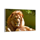 Quadro Stampa su Tela Risveglio Ombroso - CupidoDesign