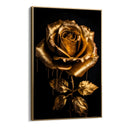 Quadro Stampa su Tela Rosa - CupidoDesign