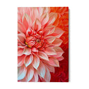 Quadro Stampa su Tela Rosa universale - CupidoDesign