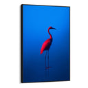 Quadro Stampa su Tela Rosso Blu - CupidoDesign