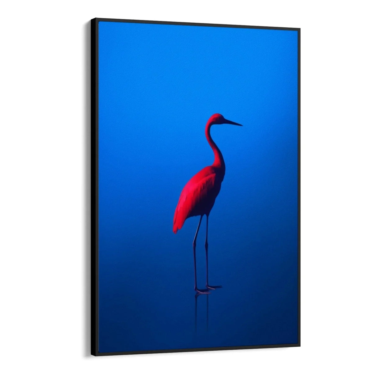 Quadro Stampa su Tela Rosso Blu - CupidoDesign