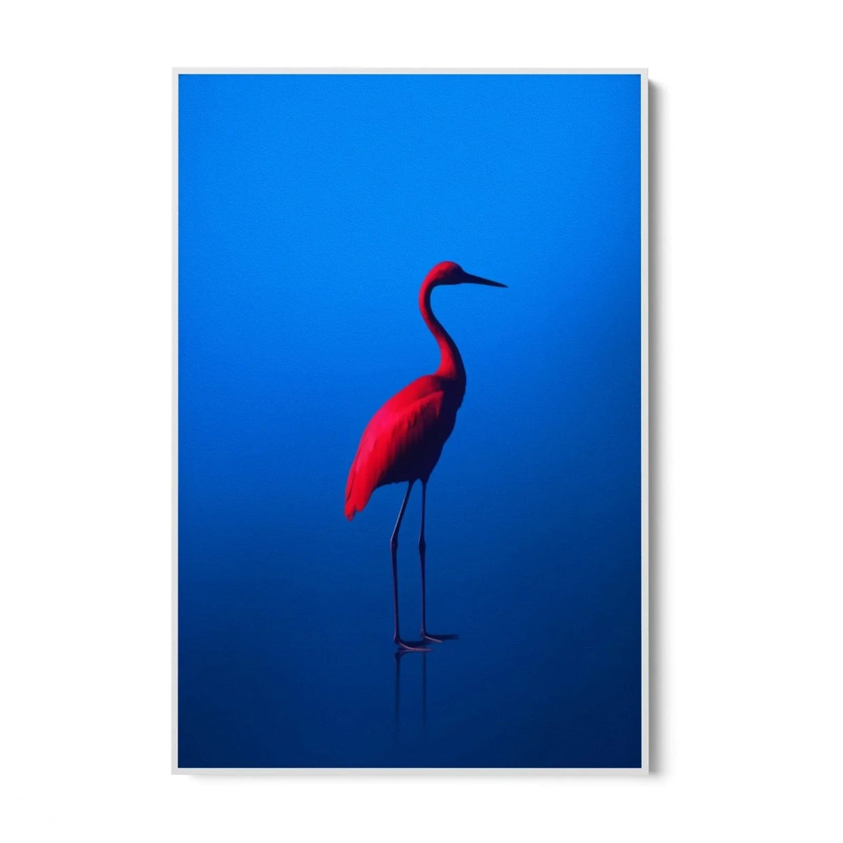Quadro Stampa su Tela Rosso Blu - CupidoDesign