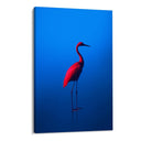 Quadro Stampa su Tela Rosso Blu - CupidoDesign