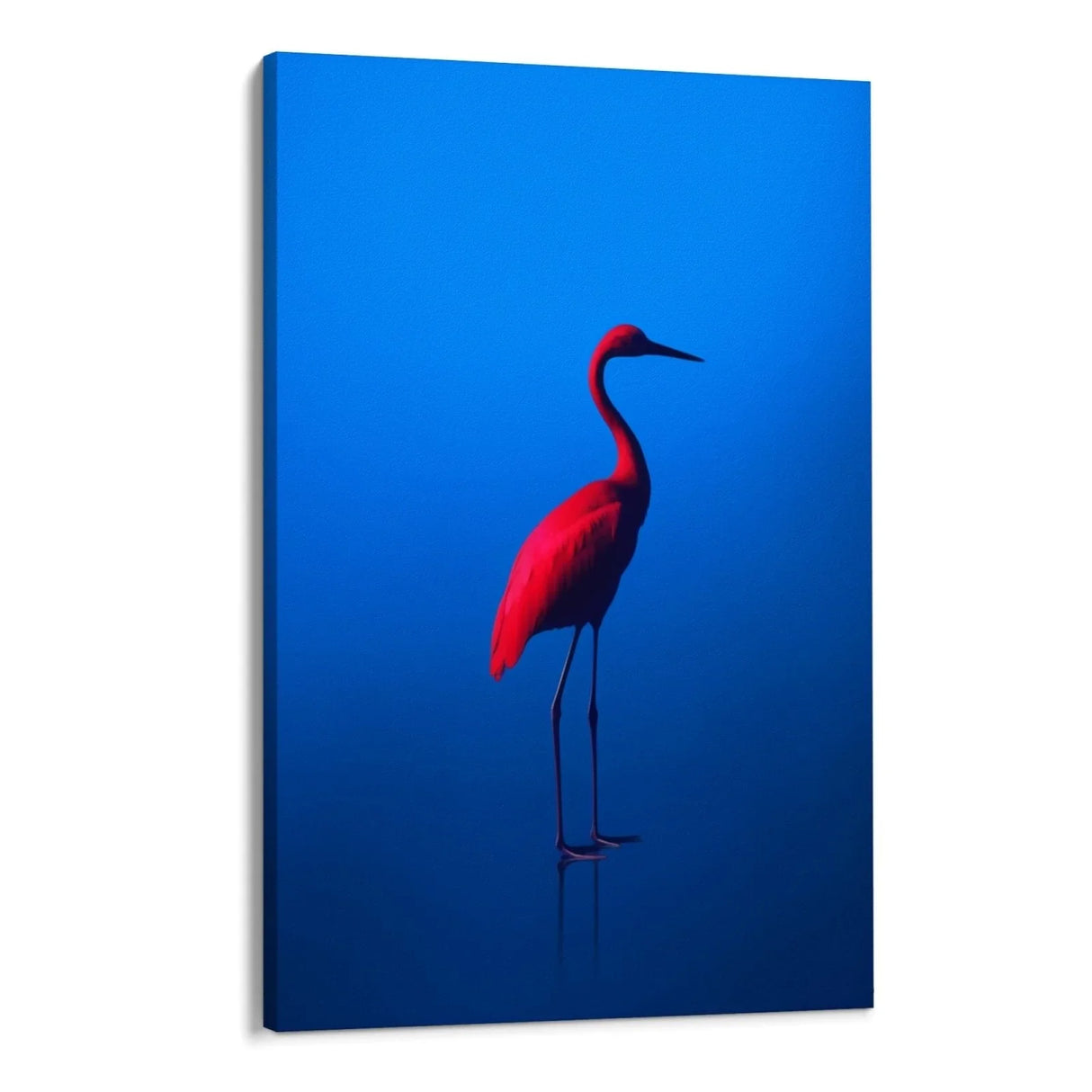 Quadro Stampa su Tela Rosso Blu - CupidoDesign