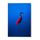 Quadro Stampa su Tela Rosso Blu - CupidoDesign