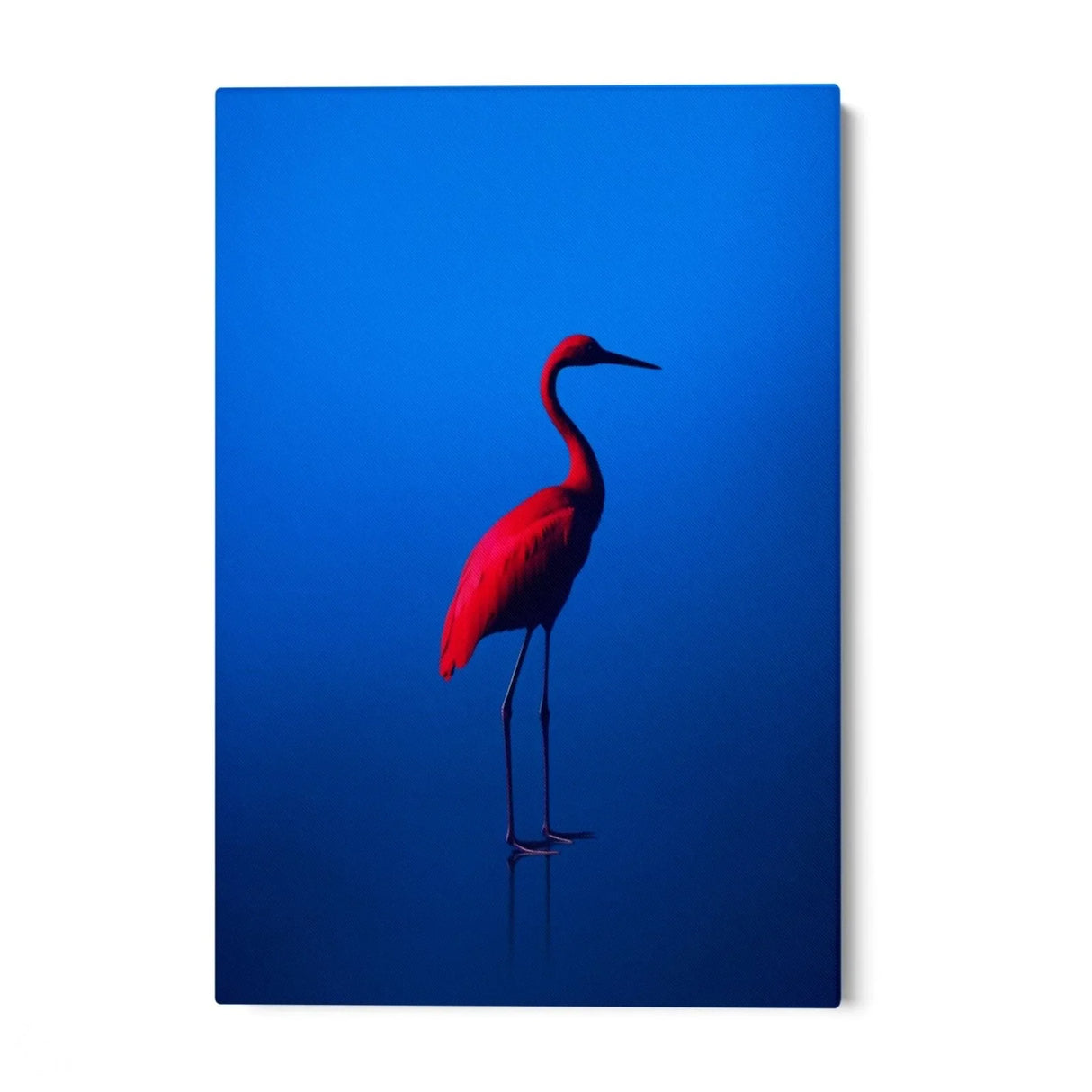 Quadro Stampa su Tela Rosso Blu - CupidoDesign