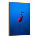 Quadro Stampa su Tela Rosso Blu - CupidoDesign