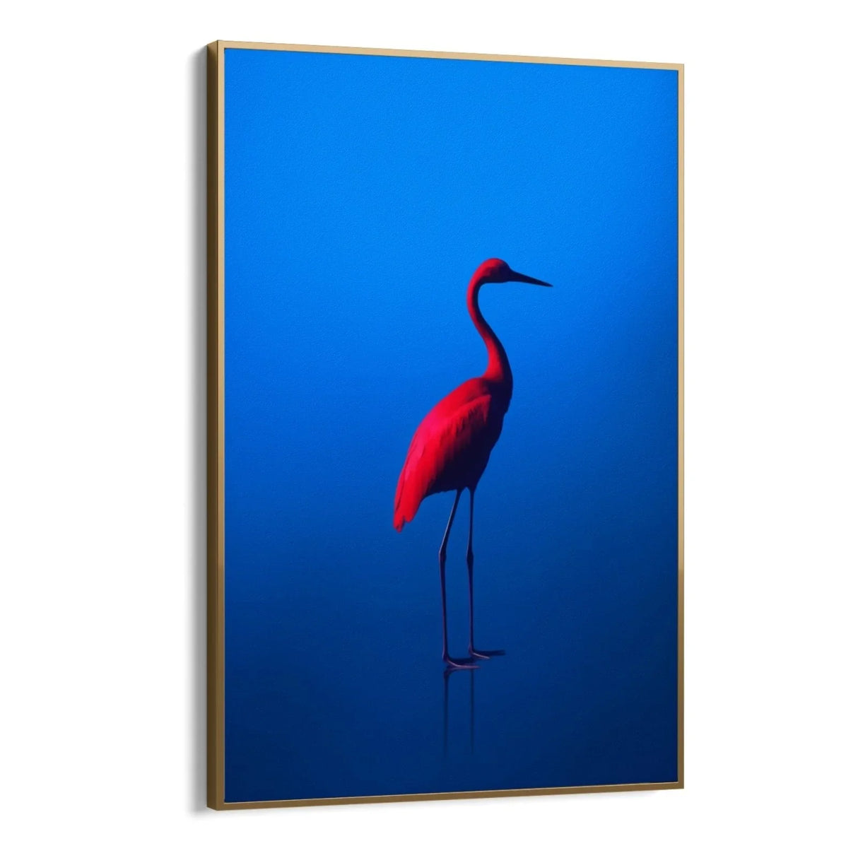 Quadro Stampa su Tela Rosso Blu - CupidoDesign