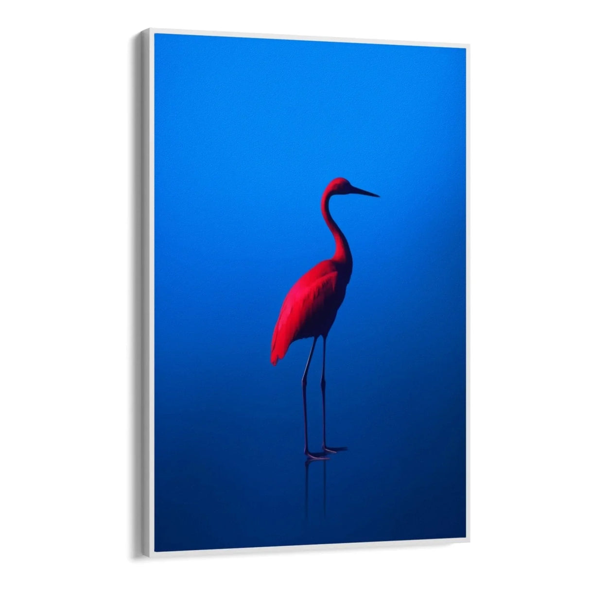 Quadro Stampa su Tela Rosso Blu - CupidoDesign