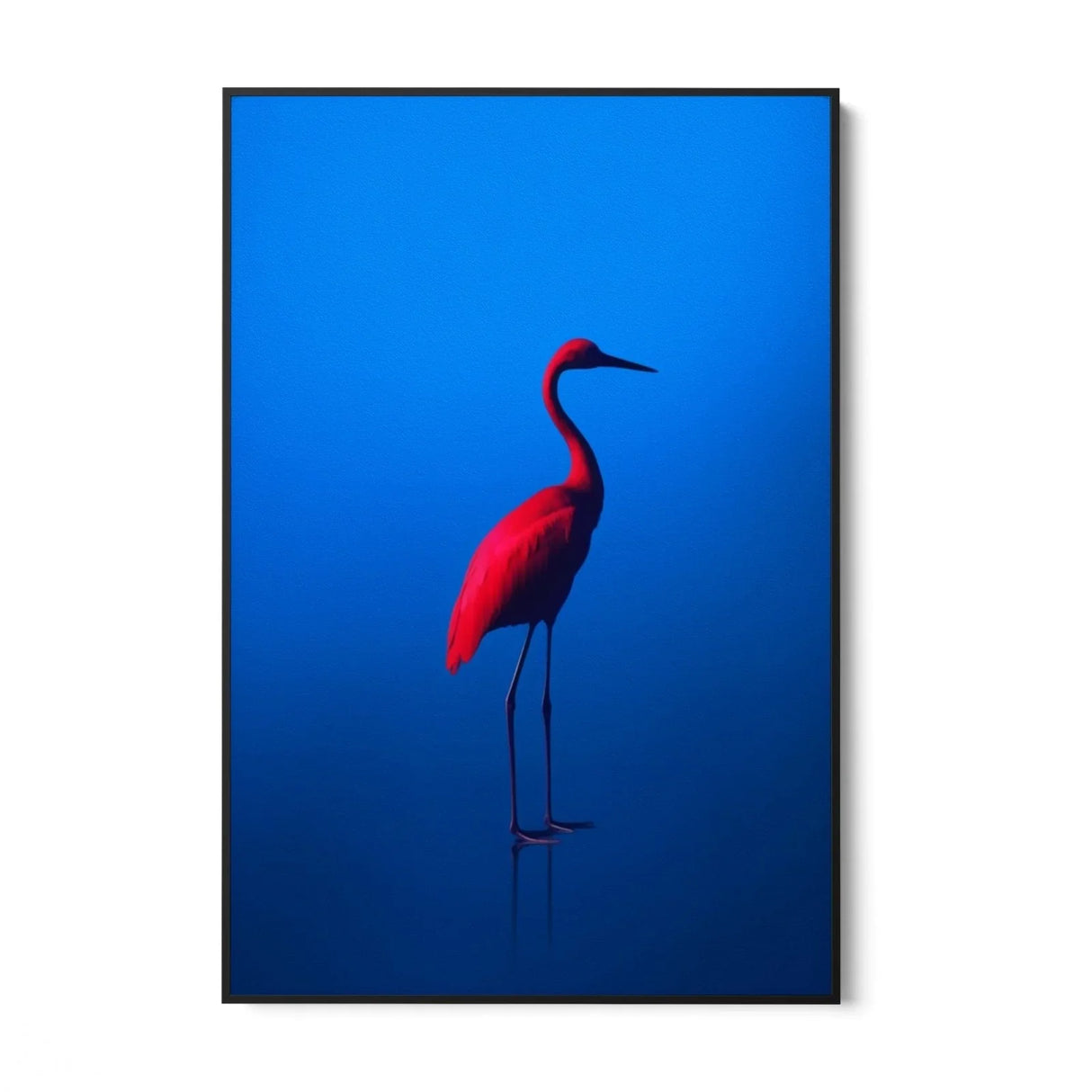 Quadro Stampa su Tela Rosso Blu - CupidoDesign