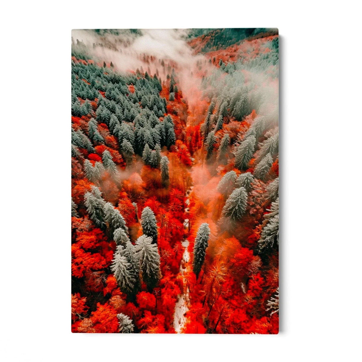 Quadro Stampa su Tela Selva Incantata - CupidoDesign