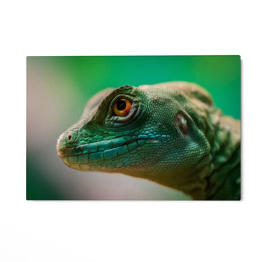 Quadro Stampa su Tela Sguardo di Smeraldo - CupidoDesign