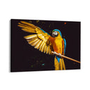 Quadro Stampa su Tela Sinfonia d'Ala - CupidoDesign
