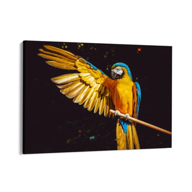 Quadro Stampa su Tela Sinfonia d'Ala - CupidoDesign