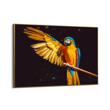 Quadro Stampa su Tela Sinfonia d'Ala - CupidoDesign