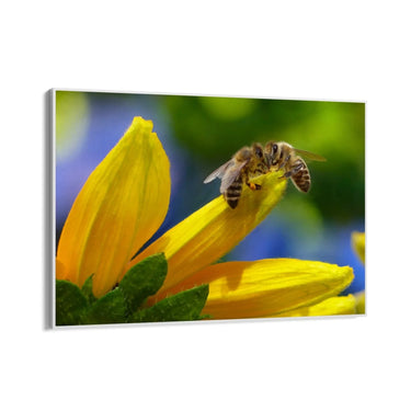 Quadro Stampa su Tela Sinfonia dell'Alveare - CupidoDesign