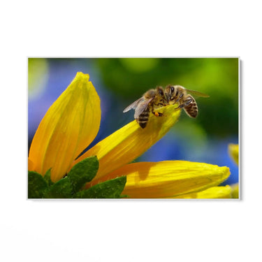 Quadro Stampa su Tela Sinfonia dell'Alveare - CupidoDesign