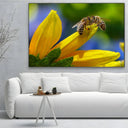 Quadro Stampa su Tela Sinfonia dell'Alveare - CupidoDesign