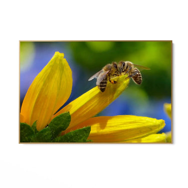 Quadro Stampa su Tela Sinfonia dell'Alveare - CupidoDesign