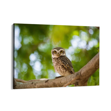 Quadro Stampa su Tela Sogno Alato - CupidoDesign