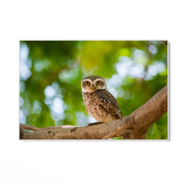 Quadro Stampa su Tela Sogno Alato - CupidoDesign