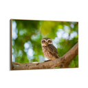 Quadro Stampa su Tela Sogno Alato - CupidoDesign