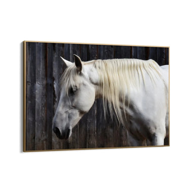 Quadro Stampa su Tela Sogno nei Prati - CupidoDesign