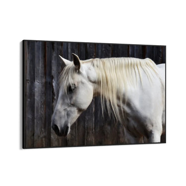 Quadro Stampa su Tela Sogno nei Prati - CupidoDesign