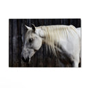 Quadro Stampa su Tela Sogno nei Prati - CupidoDesign