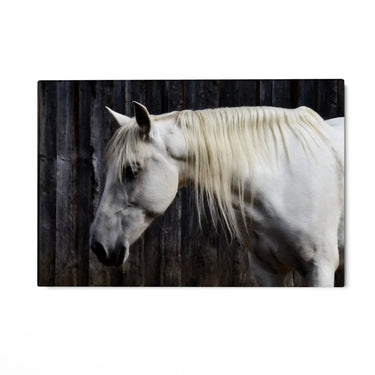 Quadro Stampa su Tela Sogno nei Prati - CupidoDesign