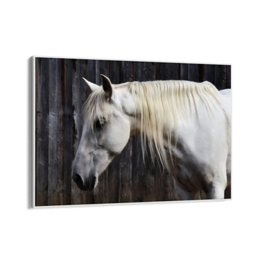 Quadro Stampa su Tela Sogno nei Prati - CupidoDesign