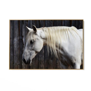 Quadro Stampa su Tela Sogno nei Prati - CupidoDesign