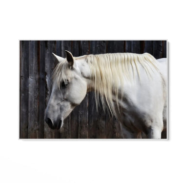 Quadro Stampa su Tela Sogno nei Prati - CupidoDesign