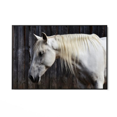 Quadro Stampa su Tela Sogno nei Prati - CupidoDesign