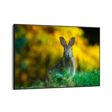 Quadro Stampa su Tela Sovrano dei Prati - CupidoDesign